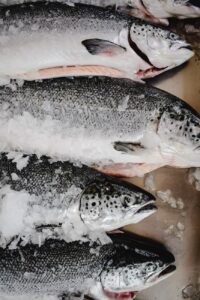 Atlantic salmon whole