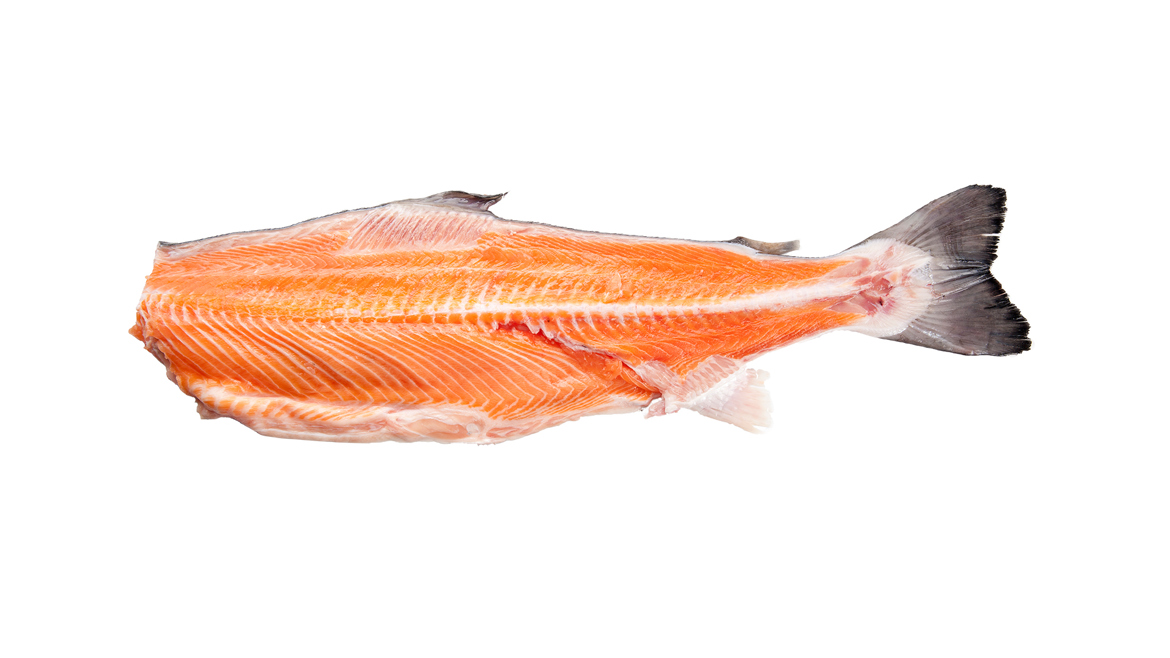 Salmon Backbones