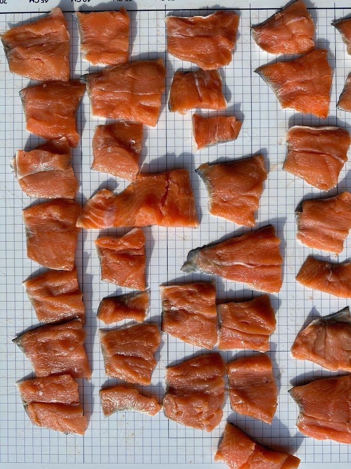Frozen Salmon Bits & Pieces Skin On
